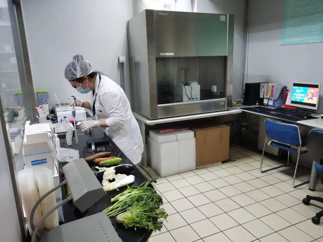 巴塘食品检测实验室装修方案